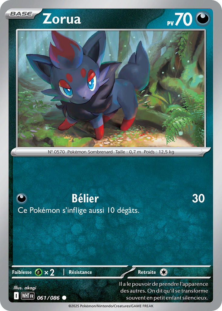 Zorua