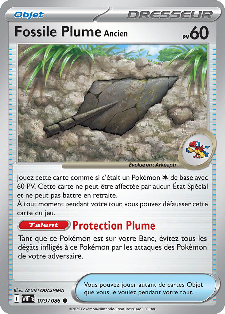 Fossile Plume Ancien