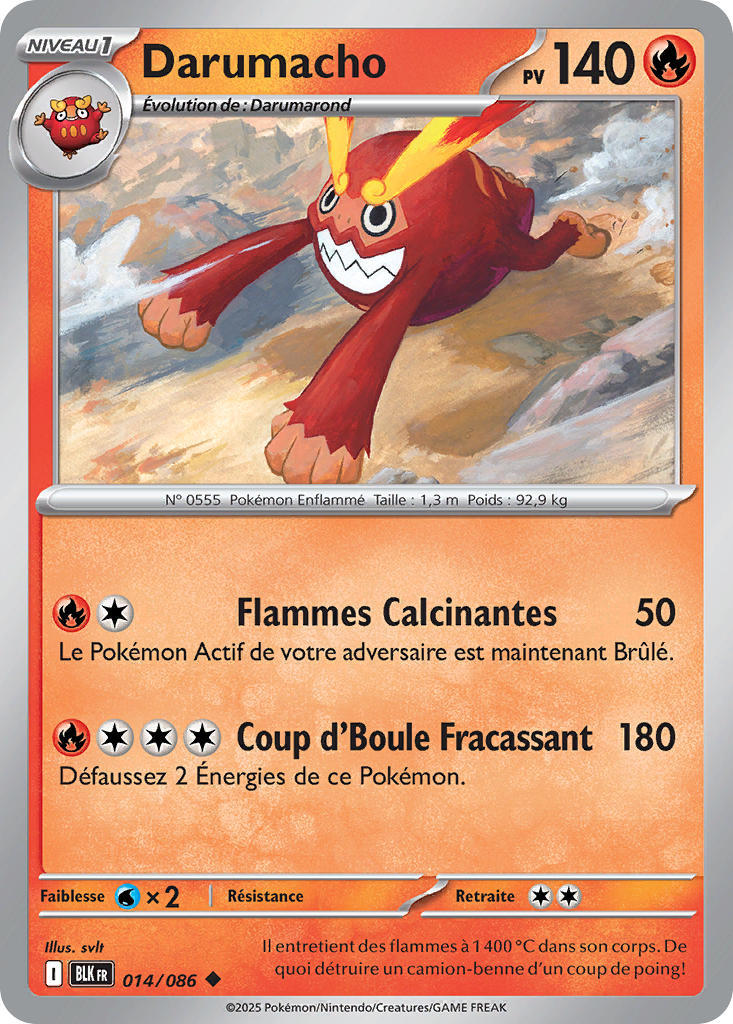 Darumacho