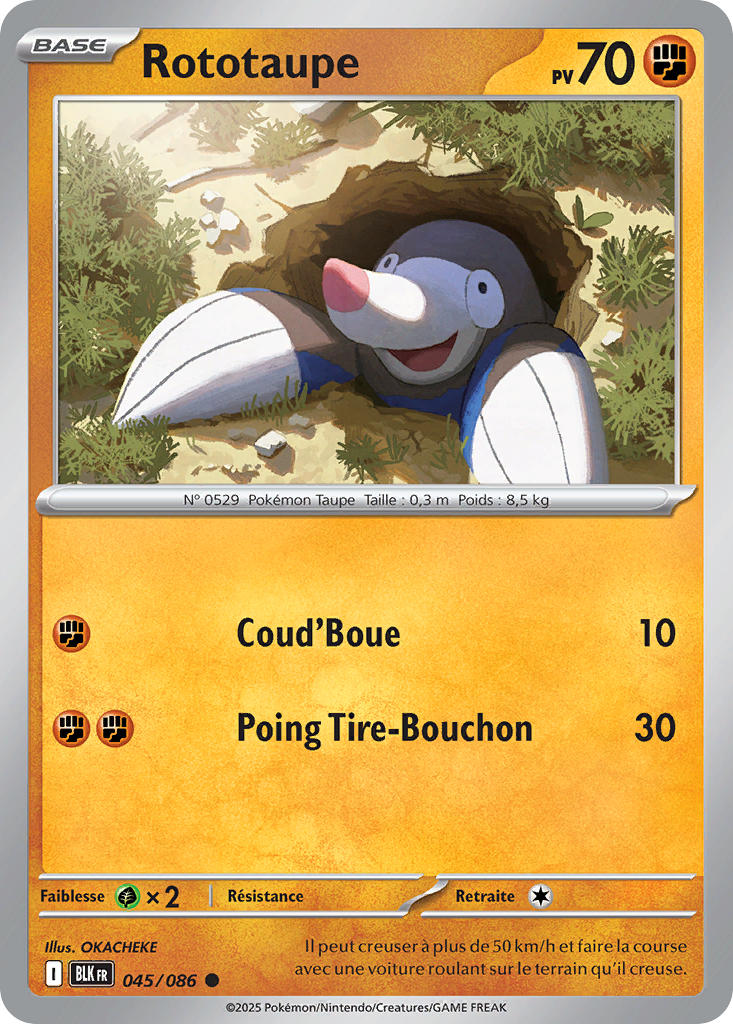 Rototaupe