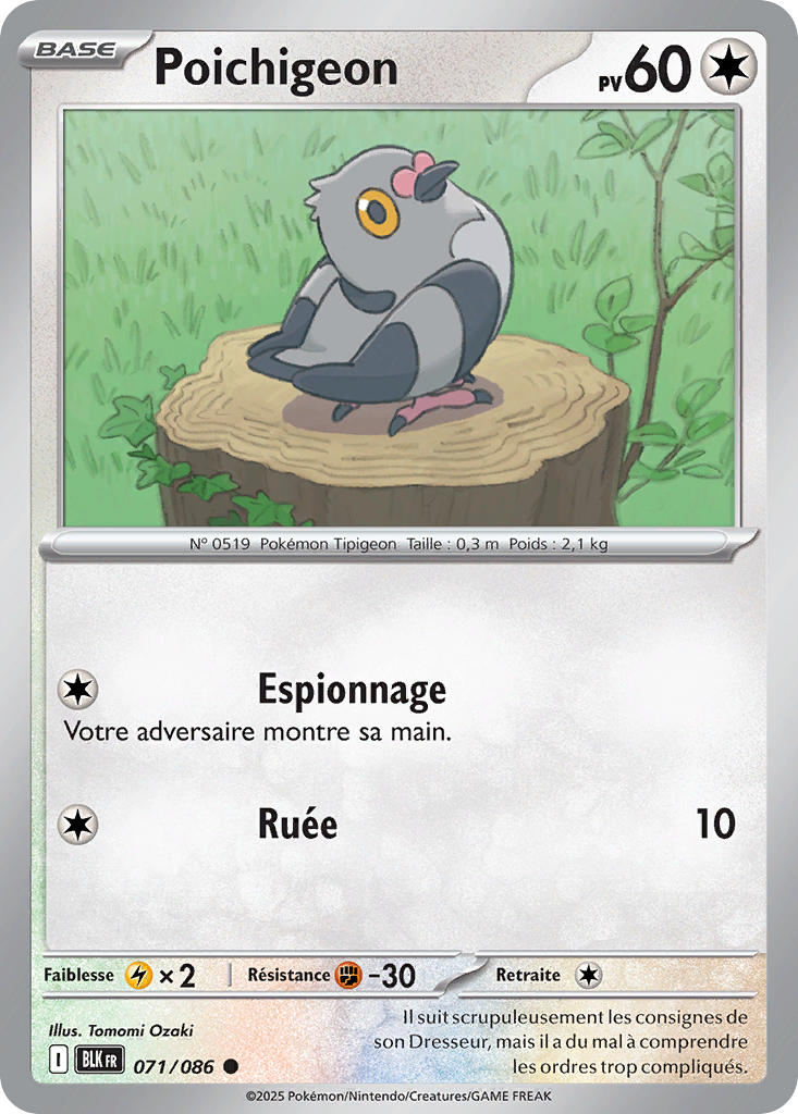 Poichigeon