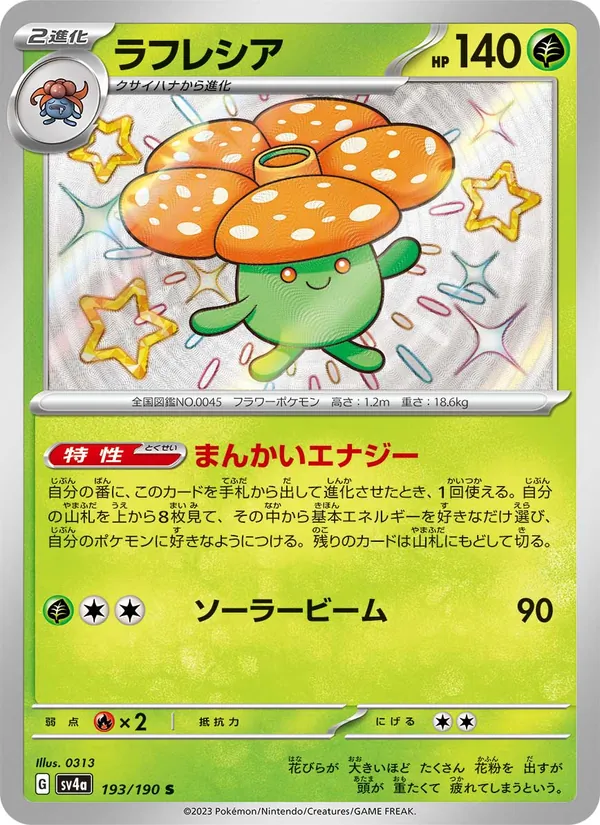 Rafflesia