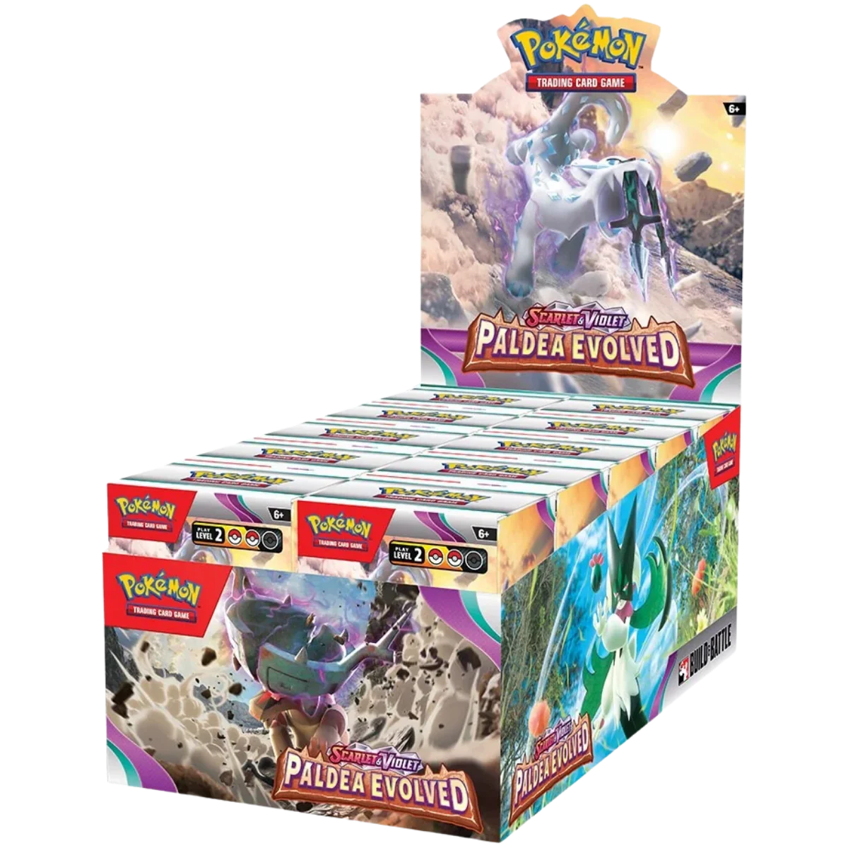Paldea Evolved: Build & Battle Box Display